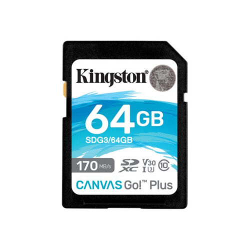 Kartë Memorie Kingston Canvas Go! Plus SD 64GB